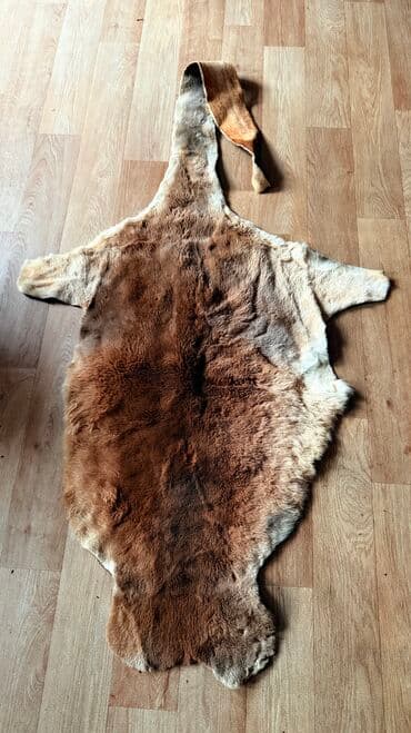 дополнительные приборы: Продаю кожу В отличном состоянии Тел 0.55. 9. 3. 2. 0. 5. 3. 1 Есть — 2