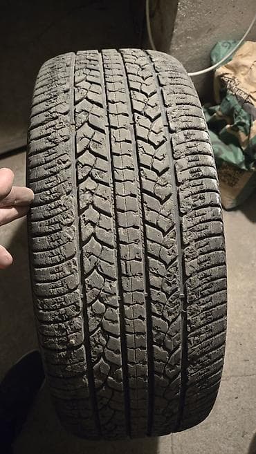 шины 245 55 r19: Шины 245 / 55 / R 19, Всесезонная, Пара, Внедорожные (АТ/МТ), GoodYear — 4
