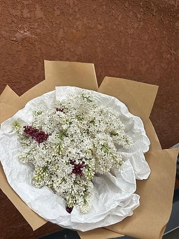 Букет из сирени за дешево 4500 2000 БЫСТРО И КАЧЕСТВЕННО И ДЕШЕВО - — 2