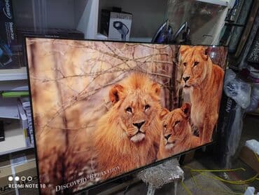 где купить комнатную антенну для телевизора: Телик Акция Телевизор - Skyworth 65SUE9500 165 см 65" 4k (google tv) — 20