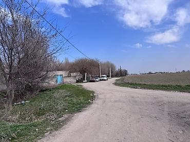 Недвижимость: 16 соток, Для сельского хозяйства — 5