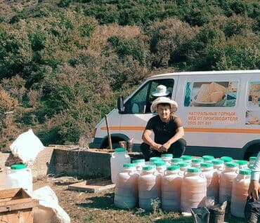 Ищу инвестора для развитии и расширение пчеловодство позвоните обсудим