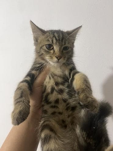 Мальчик