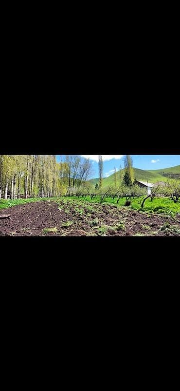 дача участок: Продается дом с участком! 🔹 Просторный дом для семьи 🔹 Участок с — 5