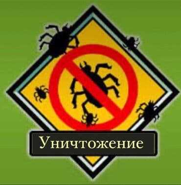 мурав: Дезинфекция, дезинсекция, | Блохи, Клопы, Тараканы, | Кафе, магазины, Офисы, Транспорт — 2