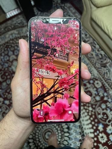 50 кг: IPhone X — 4