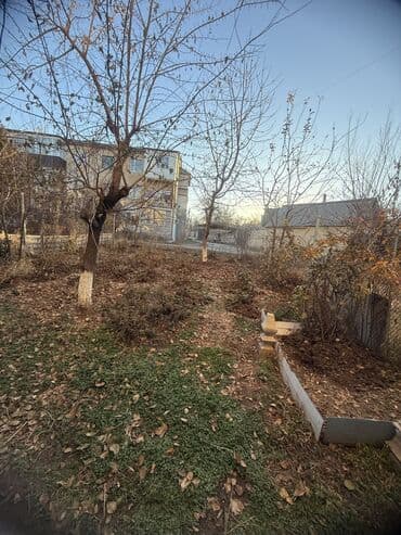 дом кемин: 68 м² — 21