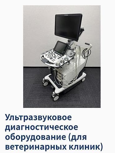 Градусники, тепловизоры: Электрокардиограф Nihon Kohden ЭКГ‑2450 (модельный год 2020) - Тип — 5