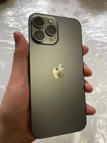 IPhone 13 Pro Max, 512 ГБ, Графит, Чехол