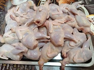 Перёпелиные тушки, возраст птицы на мясо 41 день. Находимся в центре