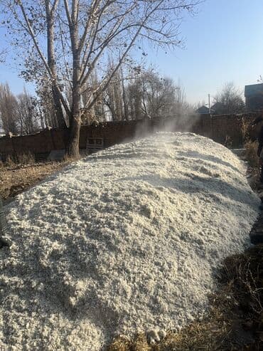 продаю связи с переездом: ЖОМ ЖОМ ЖОМ доставка!✨ ————————————— Любой регион 🇰🇬 ———————- — 7