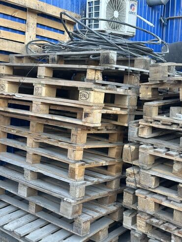 цветы цены бишкек: Поддоны в круг по 200 сом — 1