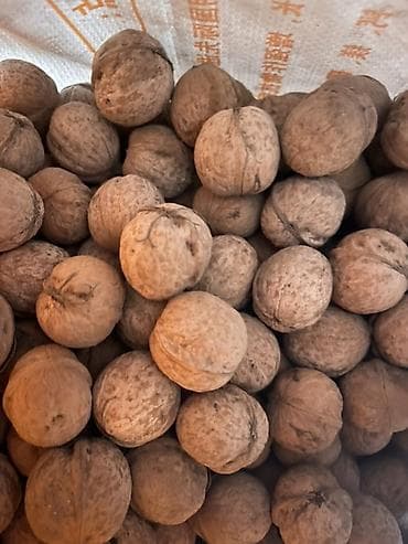 Орех в скорлупе - Цельные ядра в прочной натуральной скорлупе - — 1