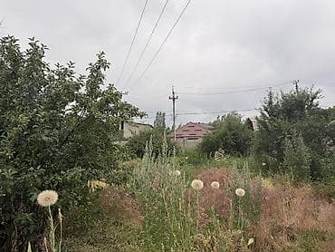 maksat: 7 соток, Для строительства, Красная книга — 4