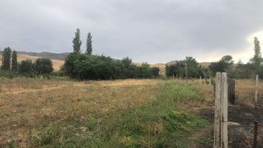 земельный участок тунгуч: 10 соток, Для строительства, Красная книга — 3