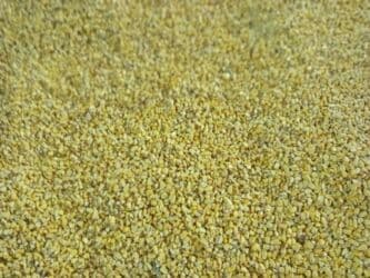 цена пшеницы в бишкеке 2022: Продаю кукурузу в мешках склад в районе 5-ГЭС. Цена по 23 сом кг со — 3