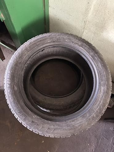 r19: Шины 255 / 50 / R 19, Зима, Б/у, Пара, Внедорожные (АТ/МТ), Япония, Bridgestone — 2