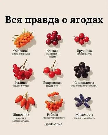 Жумуш издеймИщу работу