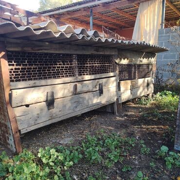 Грызуны: Продаю кролятник для кроликов есть две штуки за две штуки.можно и для — 2