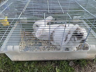 клетка для шиншиллы: Клетка для декоративных кроликов с поилкой - Просторная переносная — 1