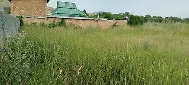 кен сай пост: 6 соток, Для строительства, Красная книга — 1