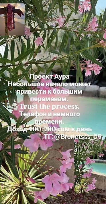 работа дома онлайн: Тг: @Brunetsss_09 Проект «Аура» — удалённая — 1