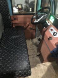 электротрицикл бишкек: Жеңил жүк ташуучу унаа, Стандарт, 1,5 т, Колдонулган — 2