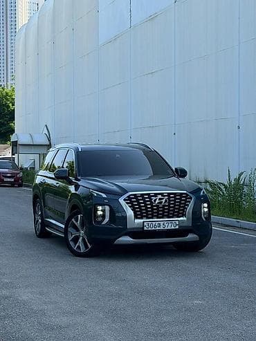 2019: Hyundai Palisade: 2019 г., 2.2 л, Автомат, Дизель, Кроссовер — 1