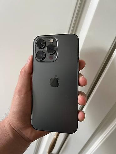 IPhone 13 Pro, Новый, 256 ГБ, Графит, Чехол, 86 %