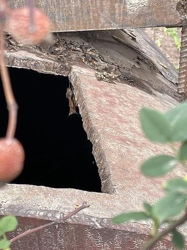 питевая вода: Продаю цистерна — 2