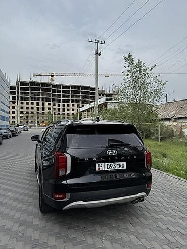 молдинг w210: Hyundai Palisade: 2019 г., 2.2 л, Автомат, Дизель, Кроссовер — 5