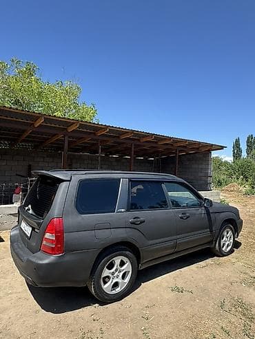 Продажа авто: Subaru Forester: 2003 г., 2 л, Автомат, Газ, Кроссовер — 1