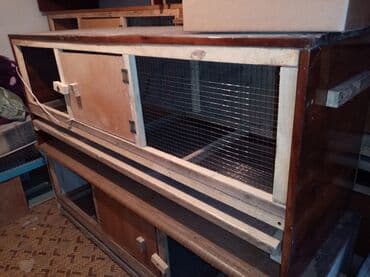 Товары и оборудование для с/х животных: Продам цыплятник удобный и тёплый размер длина 1.50 см ширина 60см — 1