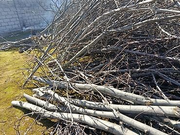 на дрова: Дрова — 3