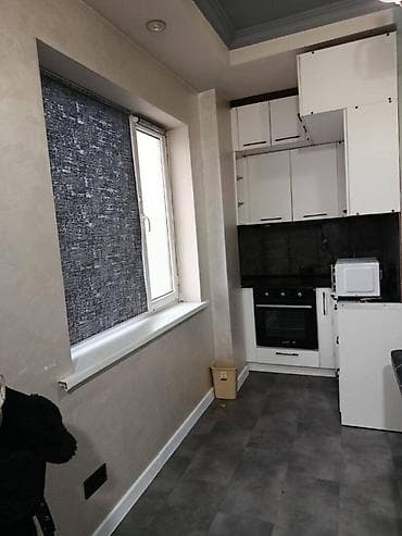 Недвижимость: 1 комната, 39 м², Пишпек Индивидуалка, 1 этаж, Евроремонт — 7
