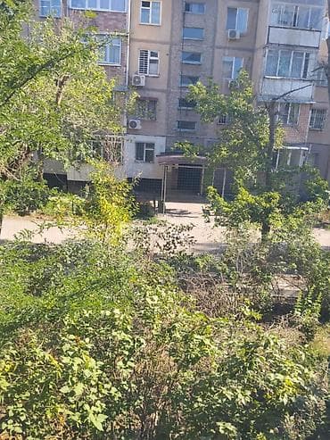 70: 1 комната, 32 м², 5 мкр 106 серия, 2 этаж, Евроремонт — 3