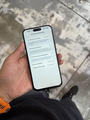 iphone plus: IPhone 15 Pro Max, 256 ГБ, 80 % — 4