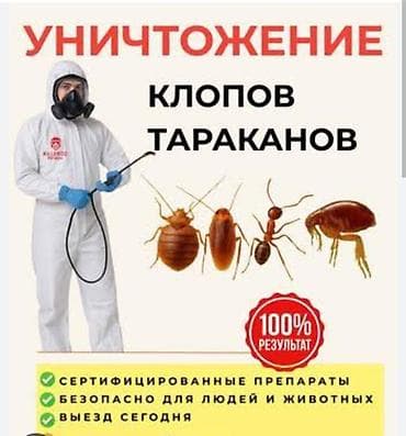 Профессиональная дезинсекция и дератизация. Что выполняем: -