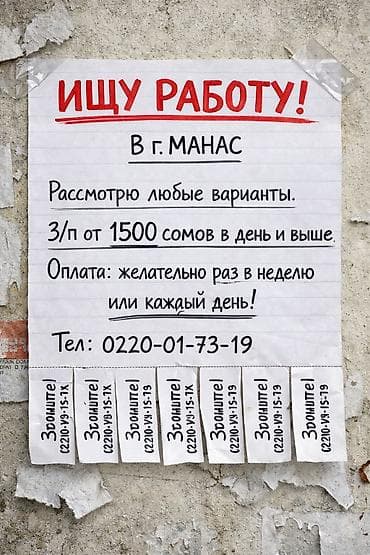 работ бишкек: Я парень 20 лет, проживаю в городе Манас, и ищу работу. Рассмотрю — 1