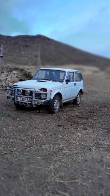 ВАЗ (ЛАДА) 4x4 Нива: 1982 г., 1.7 л, Механика, Бензин, Внедорожник