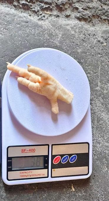 бройлер живым весом: Куриные лапки из Ирана находиться в Кыргызстане замороженном виде — 8