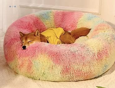 суточный жожо: Новые товары для ВАШИХ ЛЮБИМЫХ МОХНАТИКОВ! Плюшевый лежак-донат для — 2