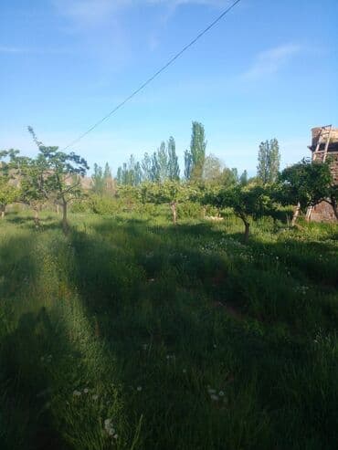 уборка садового участка: СРОЧНО ПРОДАЮ участок 1,5гаили меняю на квартиру в Бишкеке. Участок — 9