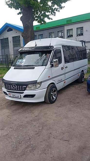 автобус икарус: Бус на заказ — 1