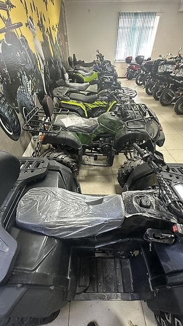 квадроцикл подешевле: Квадроциклы и мототехника для бездорожья - Мощные утилитарные и — 1