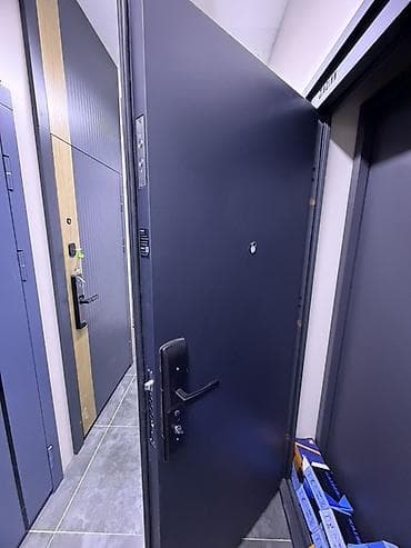 mf doom: Двери для домов и квартир, Металлическая, Одностворчатая, Китайская, цвет - Синий — 2