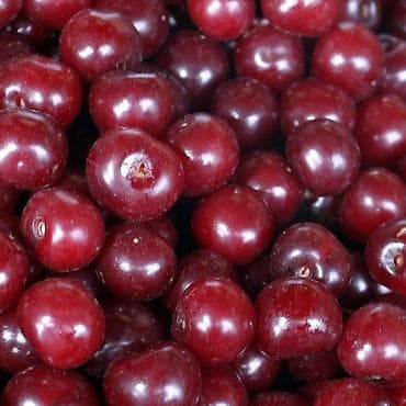 Вишня Оптом, В розницу, Самовывоз, Платная доставка