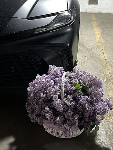 корзины на той: Сирень на корзине 🌸 Срезана сегодня утром, свежая 51 веток Пока — 1