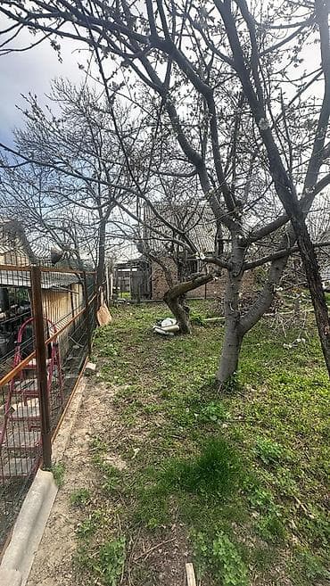 панорама парк авангард: 🌿 Продаётся уютная дача в Панораме (С/Т «Приборист») 📐 Участок: 5 — 7