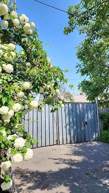 дешово продам: Продам Дом, в Сокулуке, для семьи с детьми, на тихой, безопасной — 2